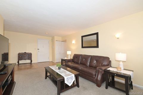 1 Birchwood Court 5F Mineola NY 11501