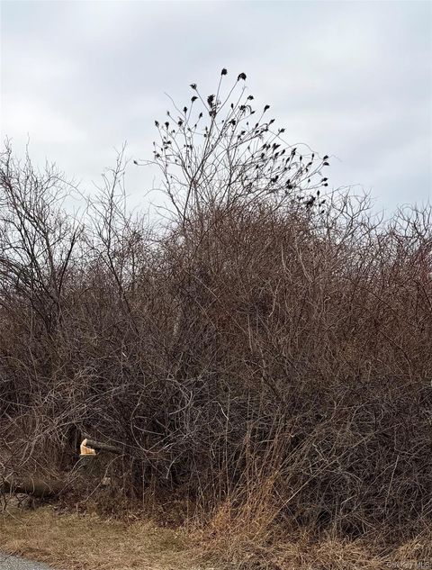 Vacant Land For Sale - 18 Homeward Lane Ln<br/> Montauk, NY 11954