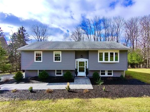 13 Thomas Avenue Liberty NY 12754