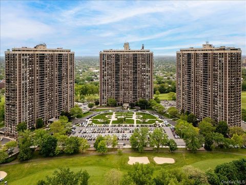 269-10 Grand Central Parkway 19K Floral Park NY 11005