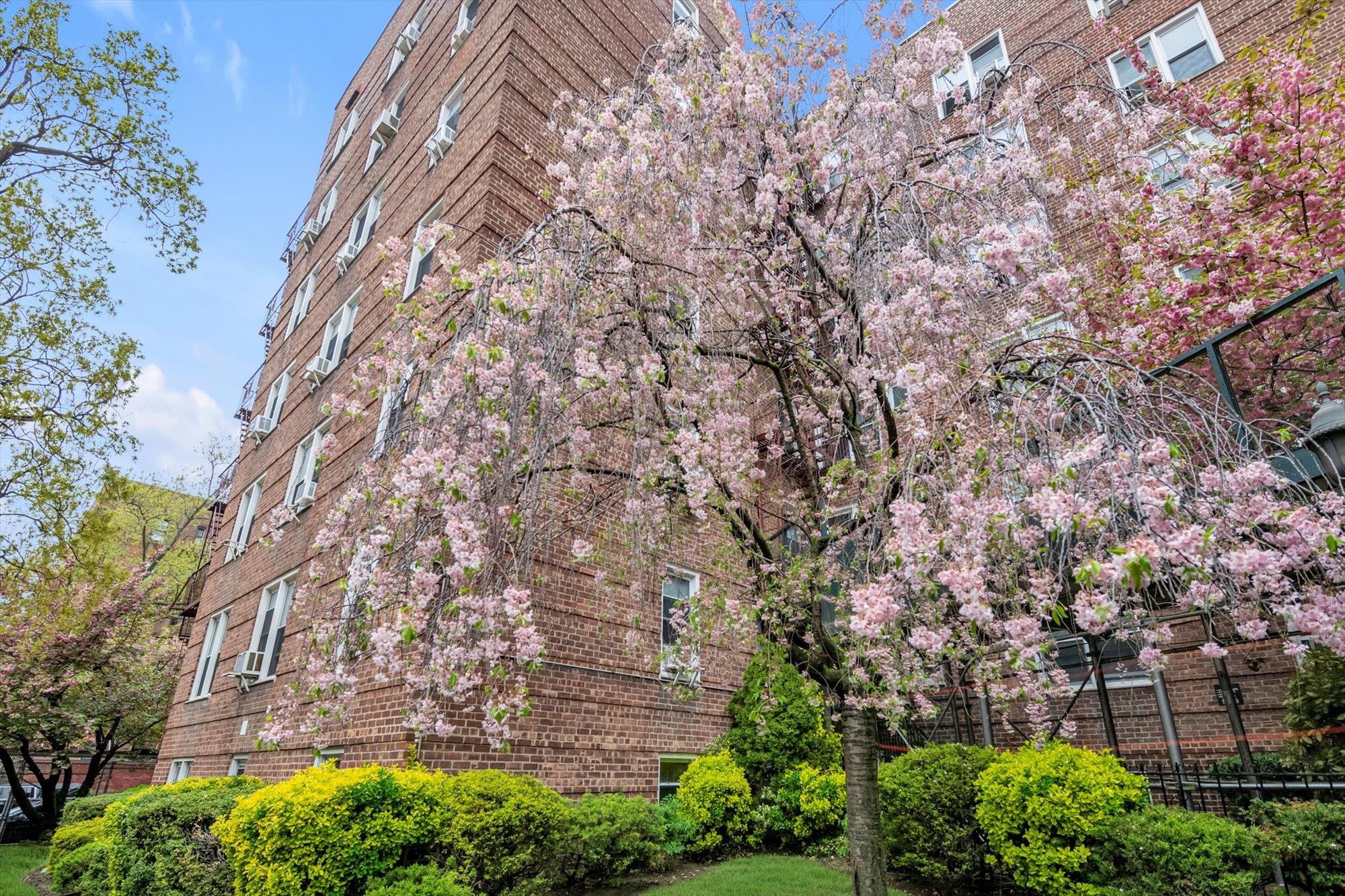 35th Avenue 4H, Jackson Heights, Queens, NY - 1 Bathrooms  
1 Rooms - 