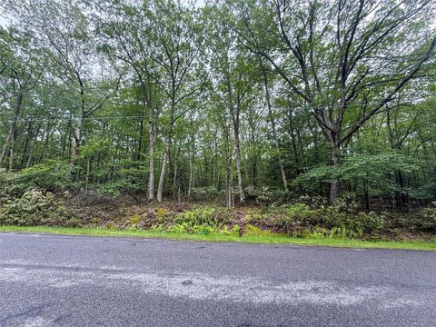 Old Sackett Road Rock Hill NY 12775