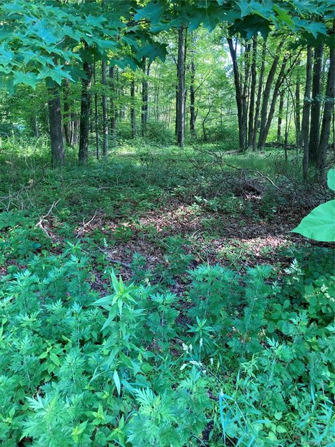 Vacant Land For Sale - 15 Adam Wagner Lane<br/> Mahopac, NY 10541