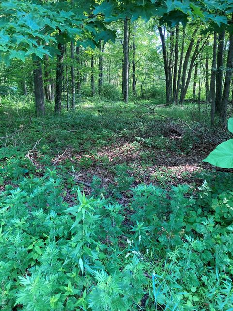 Vacant Land For Sale - 15 Adam Wagner Lane<br/> Putnam County, Mahopac, NY 10541
