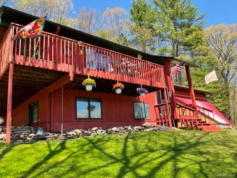 Homes For Sale - 57 County Road 132<br/> Hankins, NY 12741