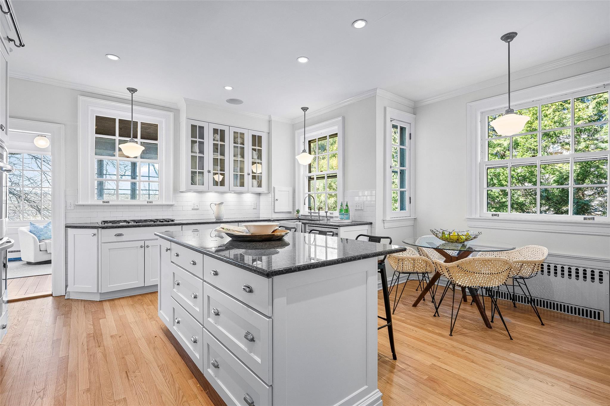 221 Corlies Avenue, Pelham, New York image 15