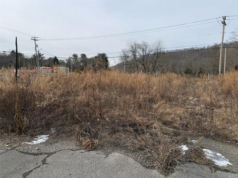 1515-1519 Rt-55 Lagrangeville NY 12540