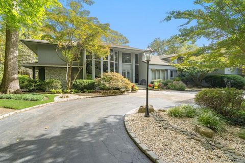 8 Forest Court Syosset NY 11791