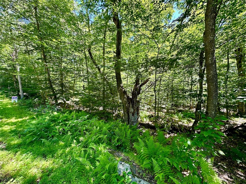 71 Swinging Bridge Estate Road, Monticello, New York image 9