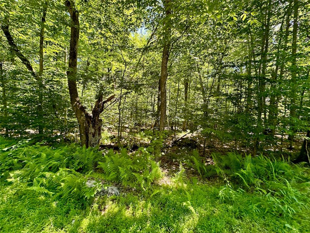 71 Swinging Bridge Estate Road, Monticello, New York image 8