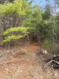 1304 Us Route 209