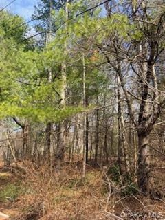 1304 Us Route 209