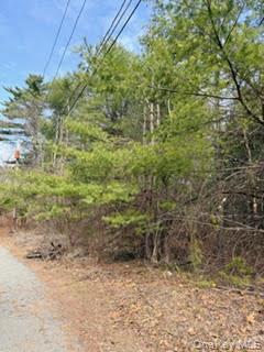 1304 Us Route 209