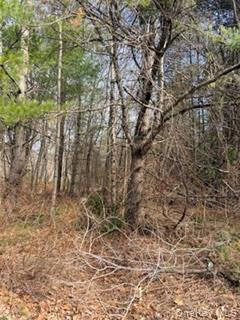 1304 Us Route 209