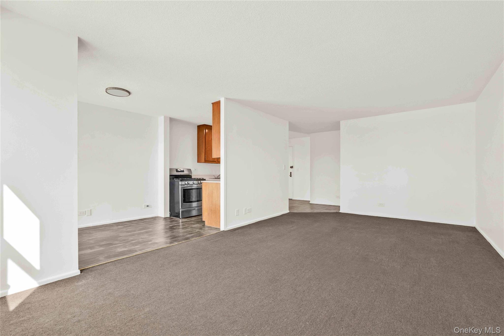 290 W 232nd Street 4E