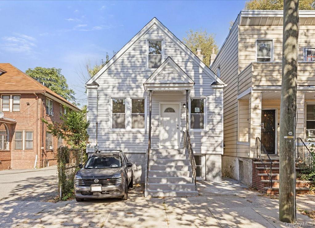 19 Webster Avenue