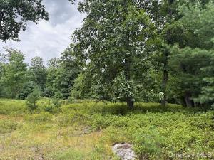 695 Big Pond Road