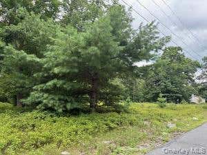 Vacant Land For Sale - 695 Big Pond Road<br/> Huguenot, NY 12746