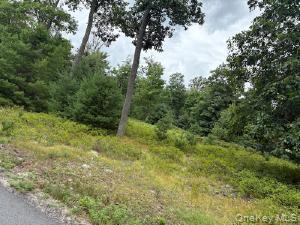 695 Big Pond Road