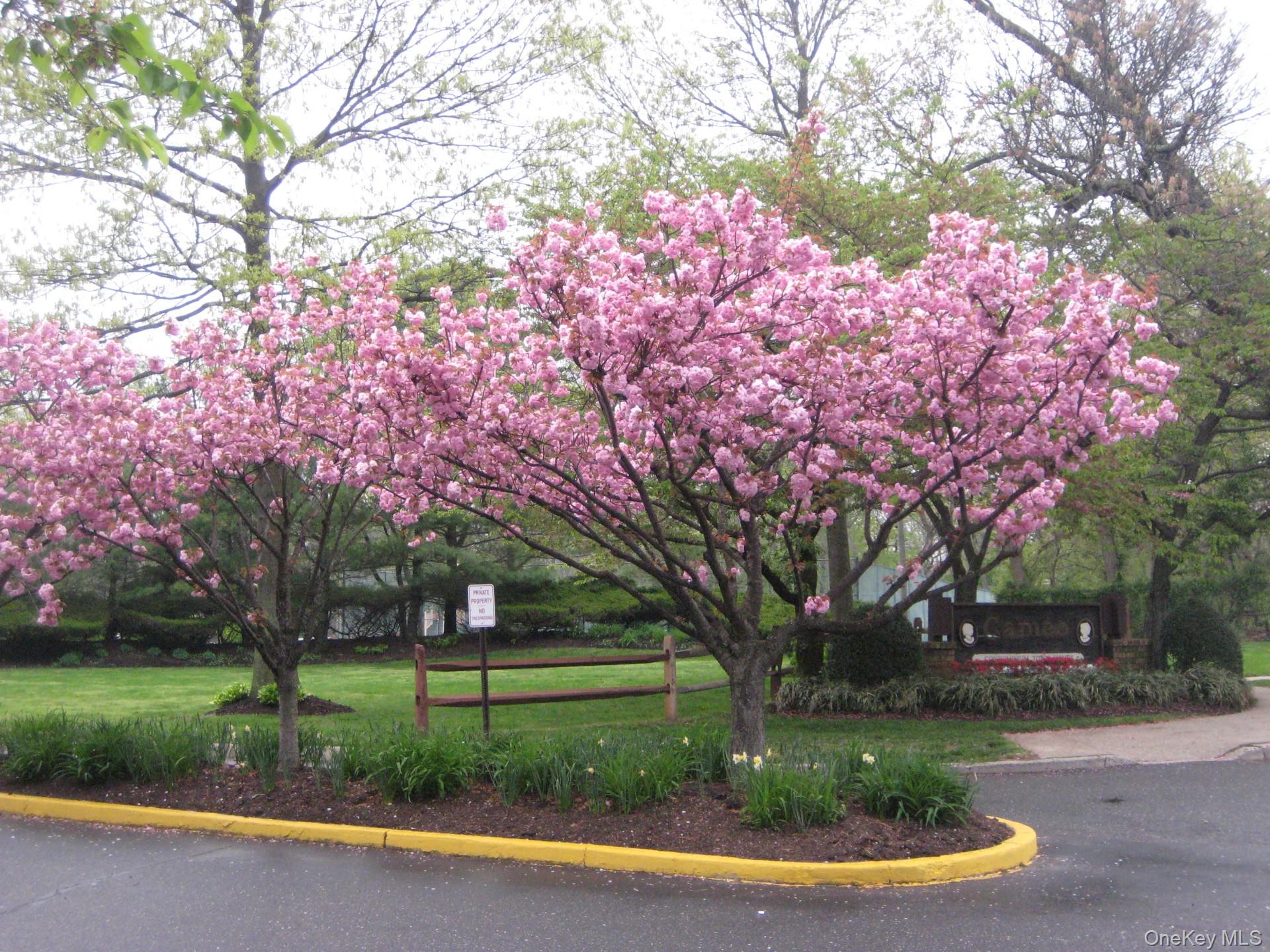 40 Town House Drive