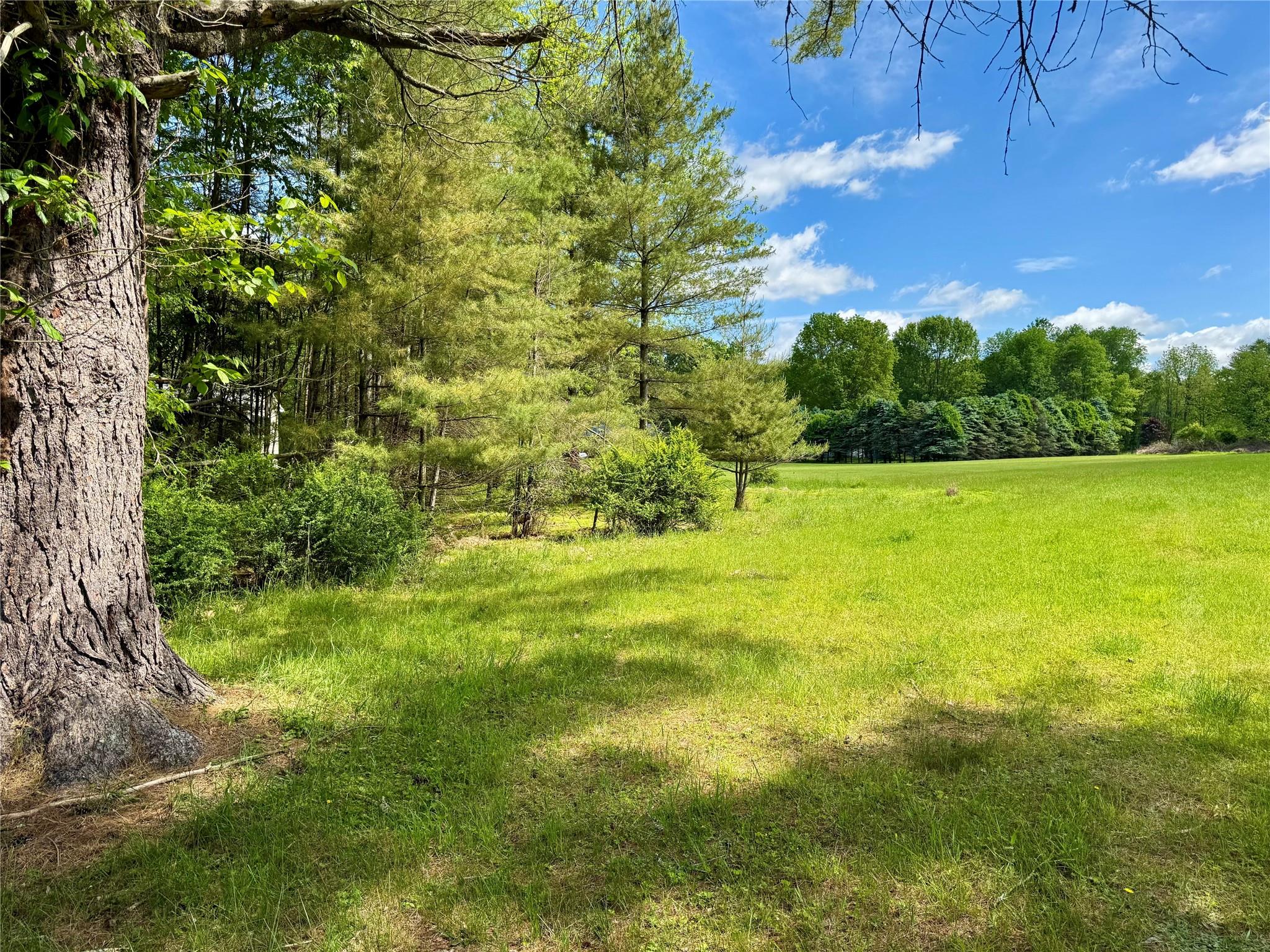 Lot 7.2 Delaware Drive, Narrowsburg, New York image 1