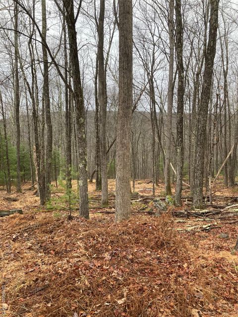 Vacant Land For Sale - State Route 55<br/> Sullivan County, Barryville, NY 12719