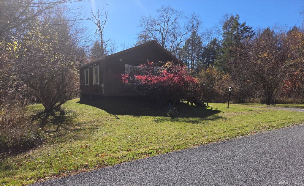 Photo of 119 Mineral Springs Road, Livingston Manor, NY 12758 (MLS # 1067606)