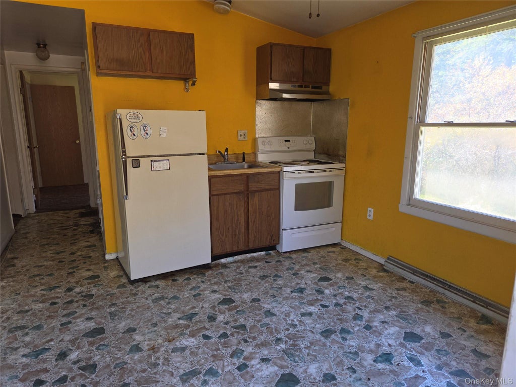 Photo of 119 Mineral Springs Road, Livingston Manor, NY 12758 (MLS # 1067606)