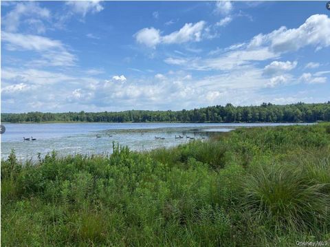 Multifamily For Rent - 15 Bailey Lake Road #-1<br/> Sullivan County, Kiamesha Lake, NY 12751