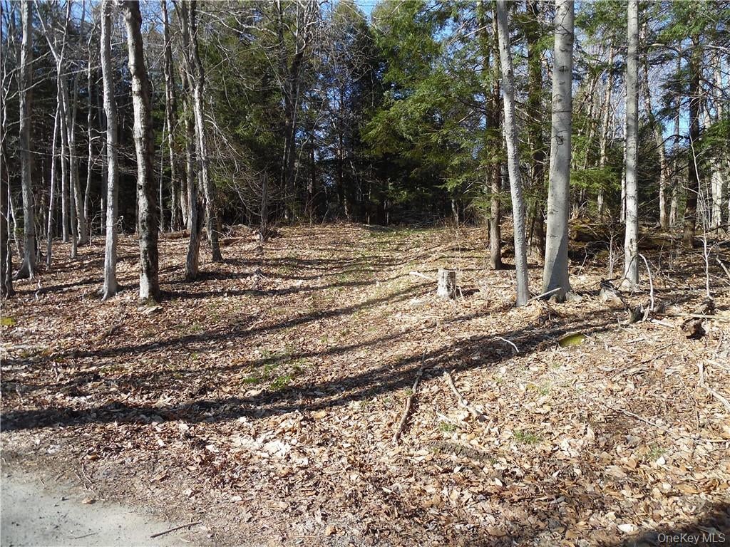 183 Revonah Hill Road