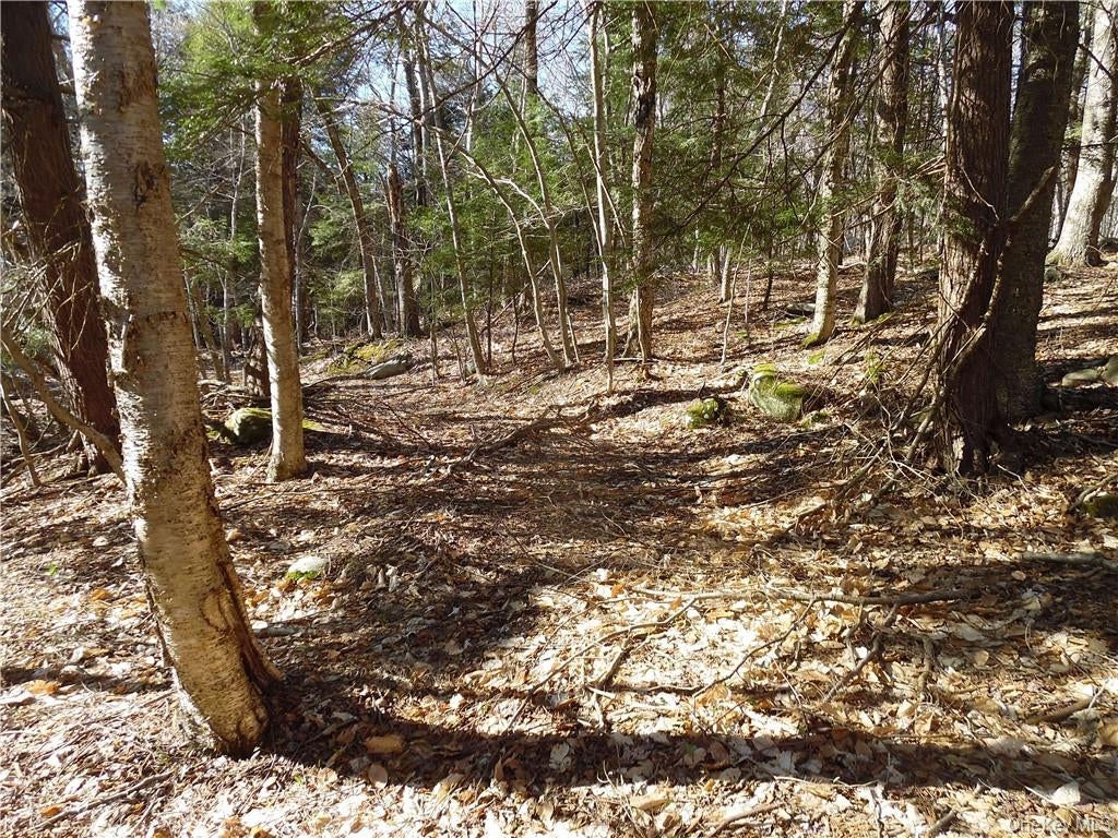 183 Revonah Hill Road
