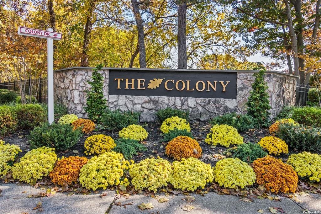 15 Colony Drive #15, Holbrook, New York image 50