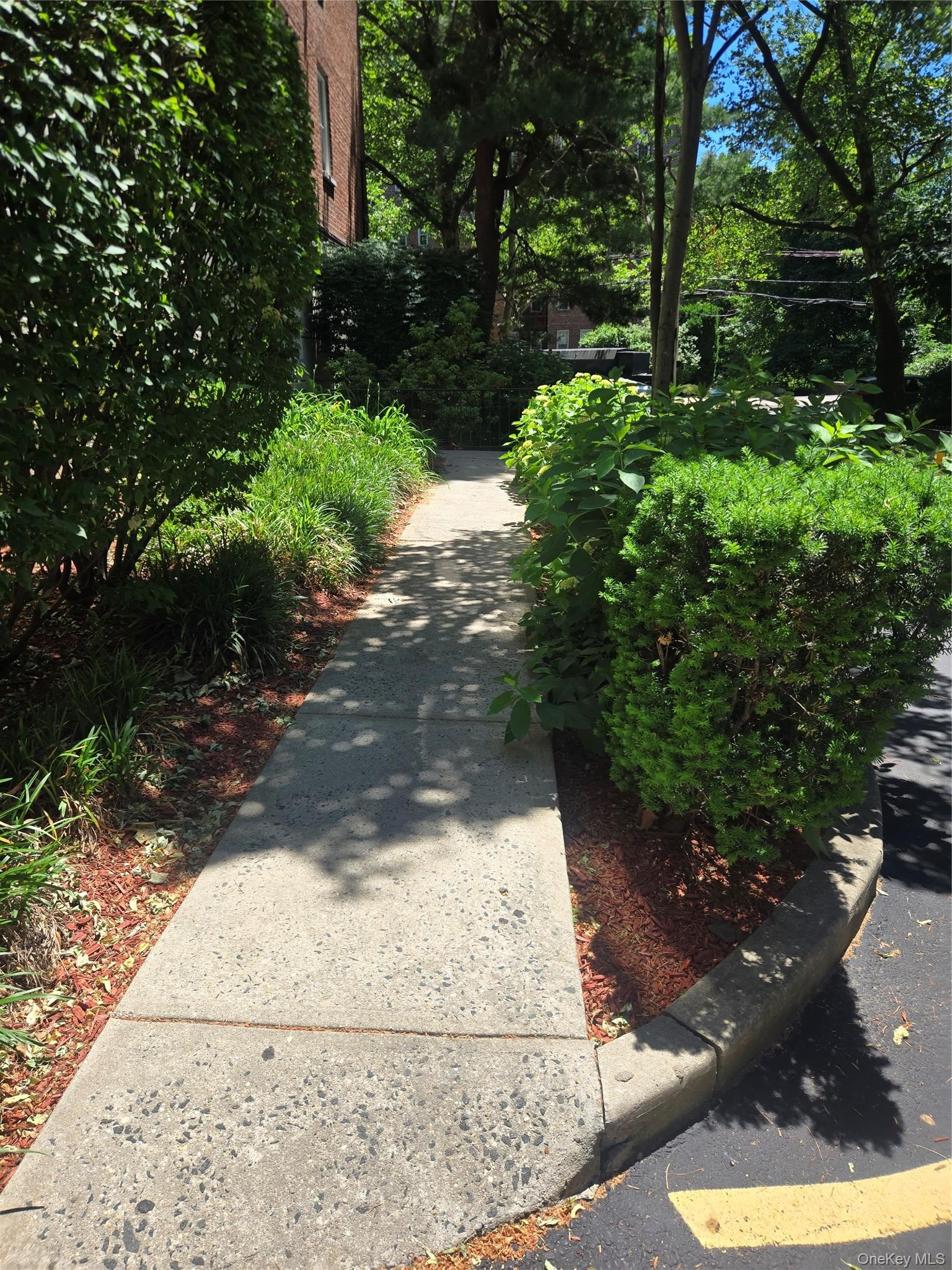 765 Bronx River 3F - Photo 3