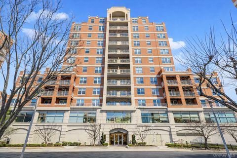 50 Oceana Drive W 3D Brooklyn NY 11235