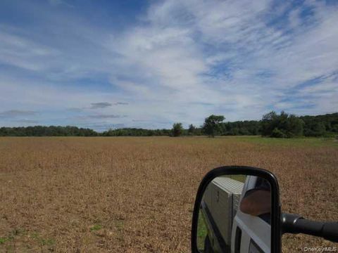 Vacant Land For Sale - County Road 19<br/> Germantown, NY 12523