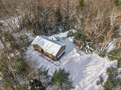 Homes For Sale - 151 Renner Road<br/> Mountain Dale, NY 12763