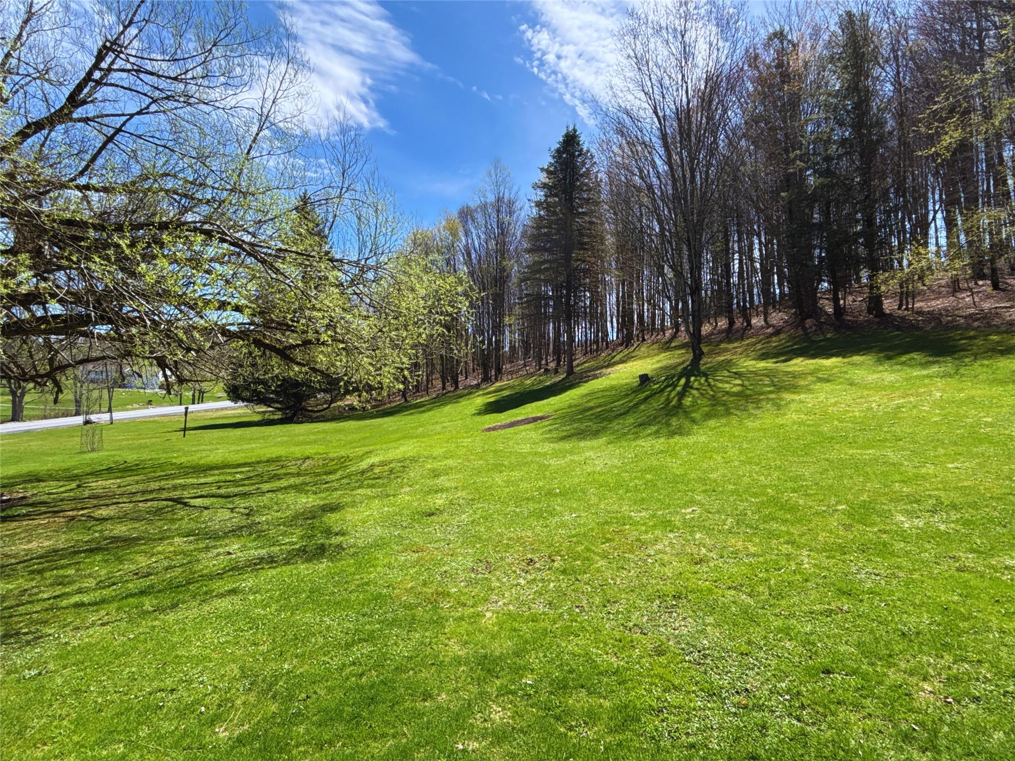6815 County Highway 16, Franklin, New York image 46