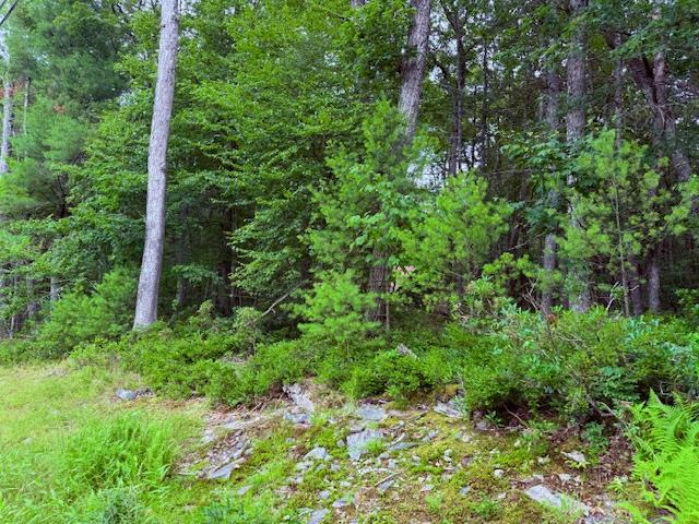 Lot 41 Leers Road
