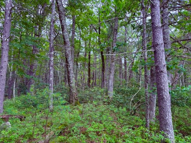 Lot 41 Leers Road