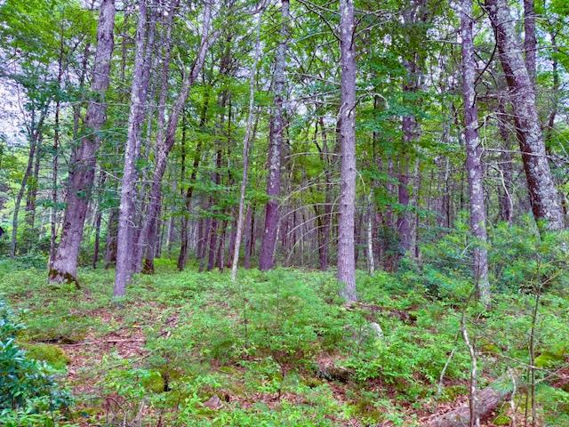 Lot 41 Leers Road