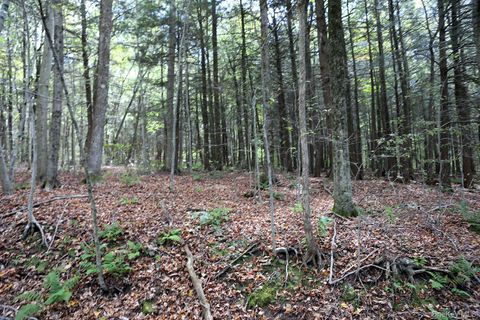 Homes For Sale - Rt-97<br/> Long Eddy, NY 13783