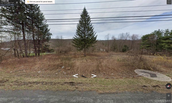 113 ROUTE 209, PORT JERVIS, NY 12771 - Image ed9192bdc8d073a51bfa8063e6b0fd7c/723717207
