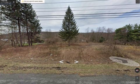 Vacant Land For Sale - 113 Route 209<br/> Port Jervis, NY 12771