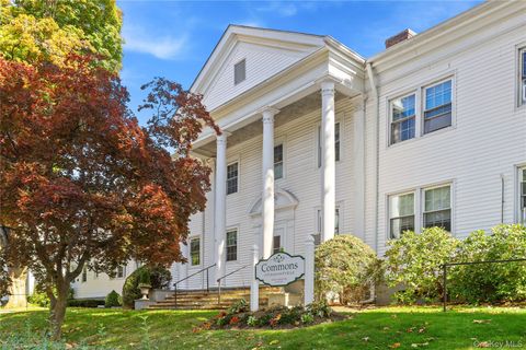 300 Manville Road C22 Pleasantville NY 10570