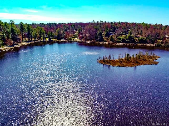 26 E Adirondack Trail