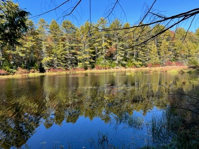 Hartwood Road, Forestburgh, New York image 2