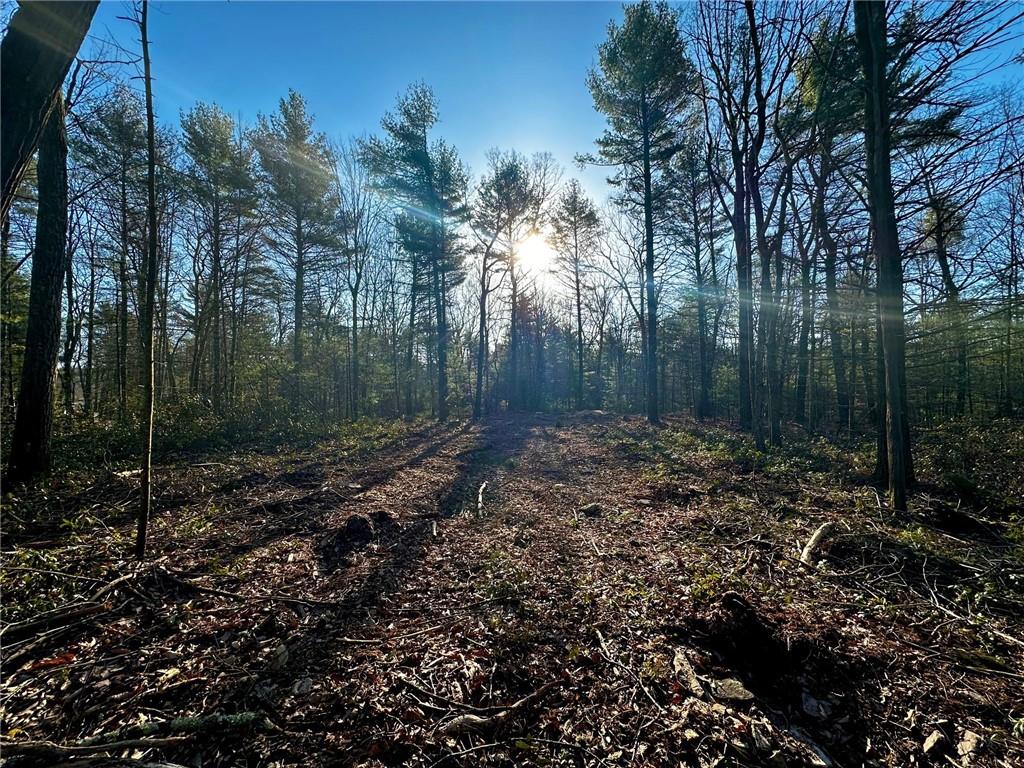Hartwood Road, Forestburgh, New York image 12