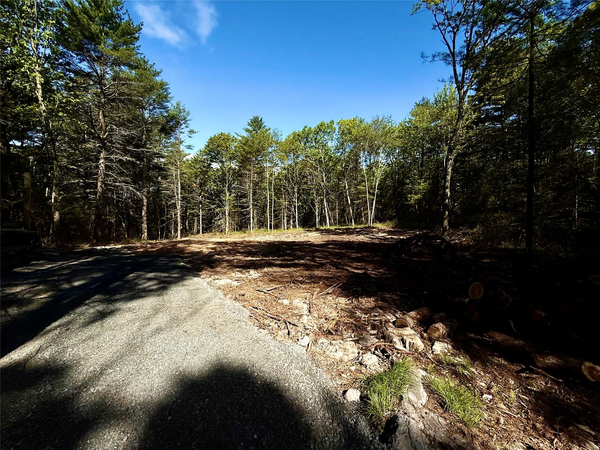 Hartwood Road, Forestburgh, New York image 18