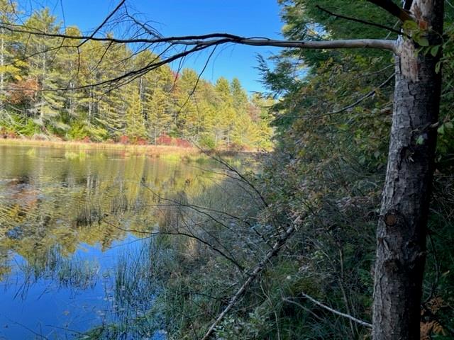 Hartwood Road, Forestburgh, New York image 4