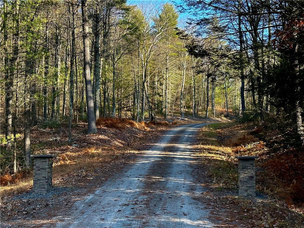 Hartwood Road, Forestburgh, New York image 6